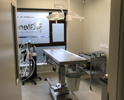 Glenina Veterinary 4