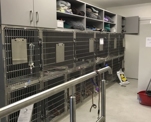 Glenina Veterinary 6